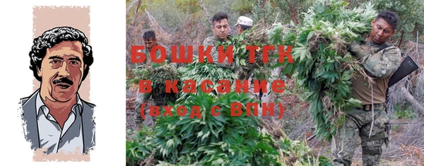 прущие грибы Нея