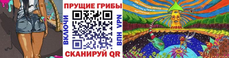 Галлюциногенные грибы Psilocybe  Устюжна 